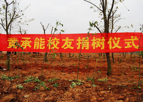 黄承能校友捐赠的部分树苗