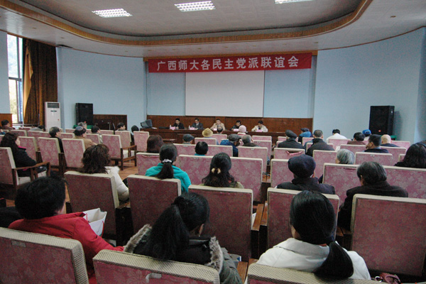 民主党派联谊会。