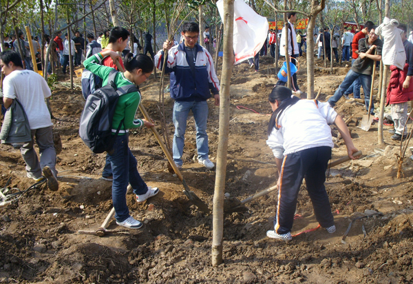 我校的青年团员在植树。
