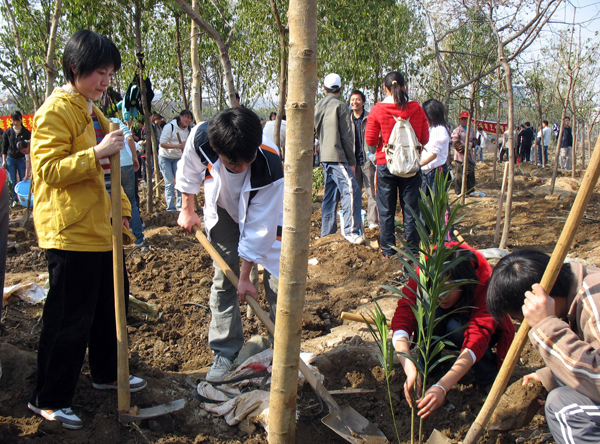 我校的青年团员在植树。