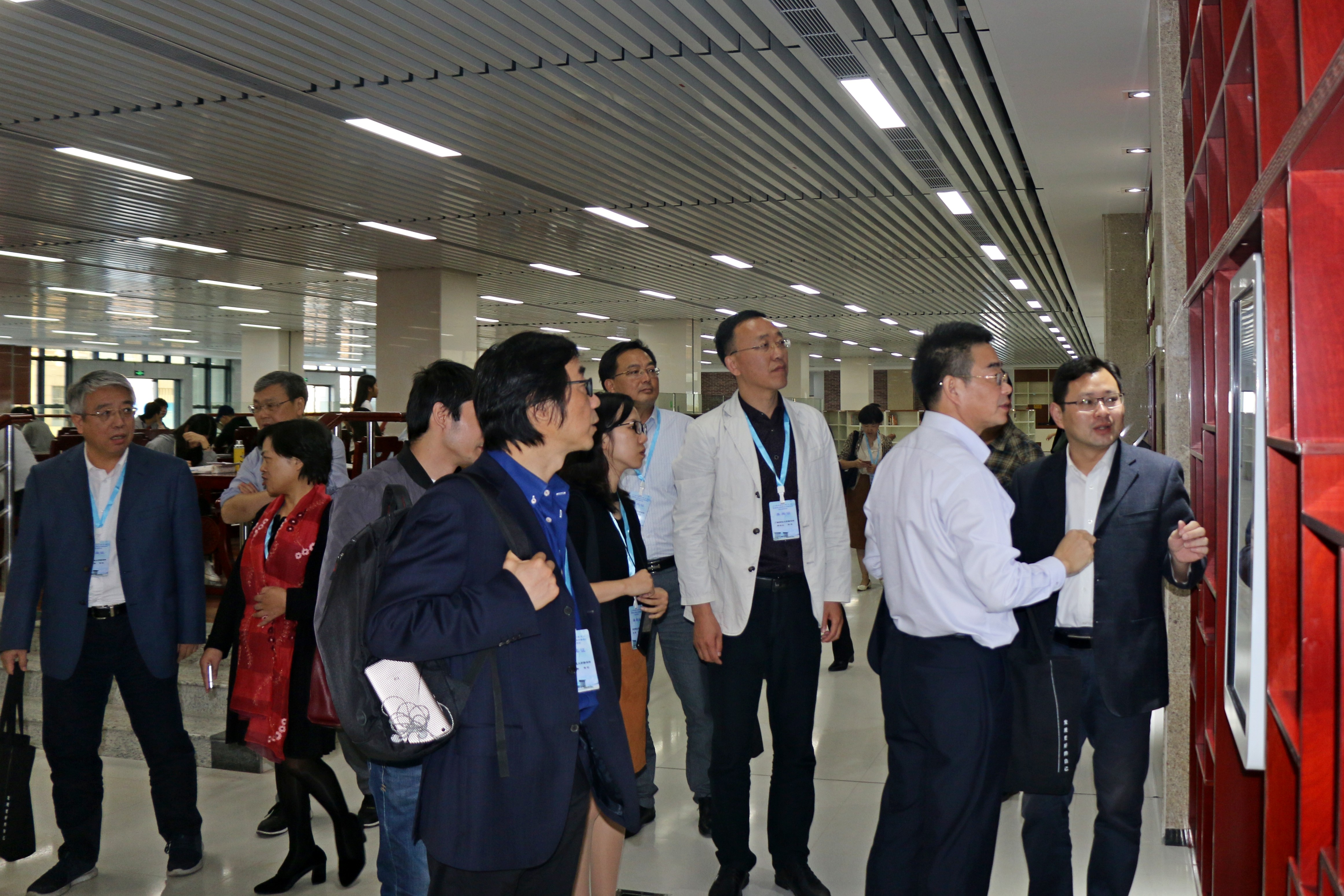 IMG_6252_cr.jpg