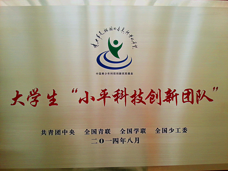 小平科技创新团队奖牌