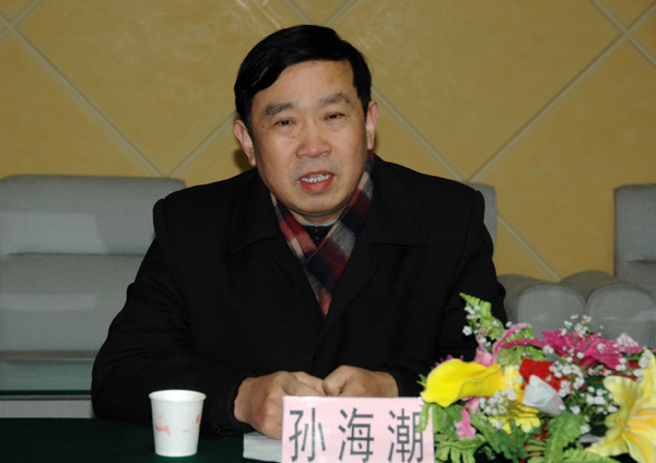 自治区高工委副书记孙海潮在汇报会上发言。