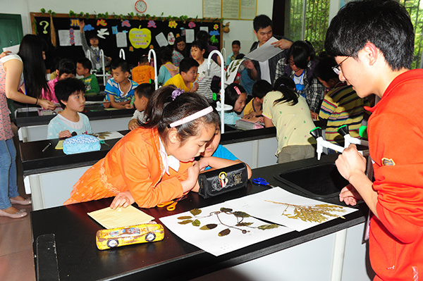 科普志愿者在凯风小学展示植物标本