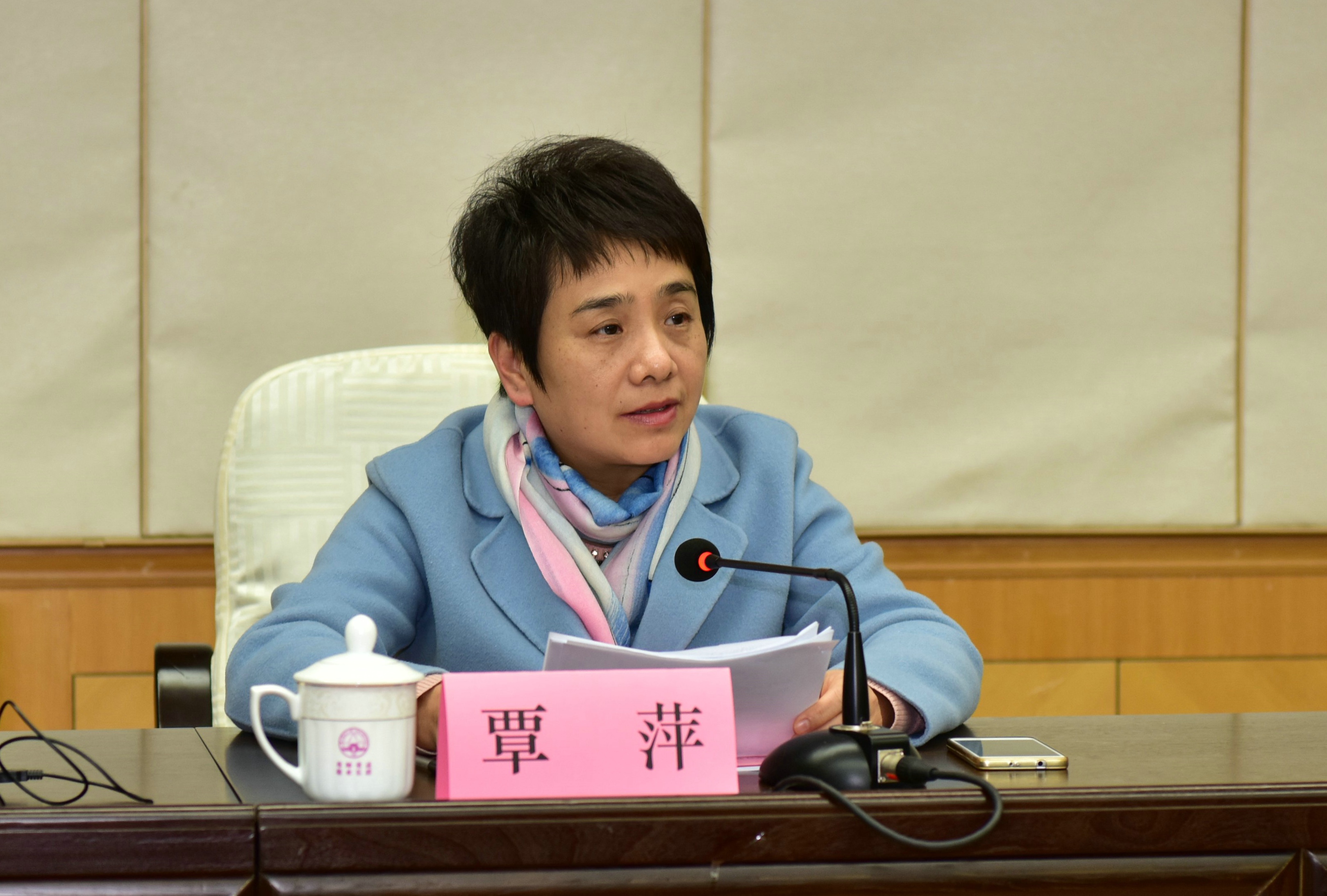 自治区高校工委副书记覃萍讲话.JPG