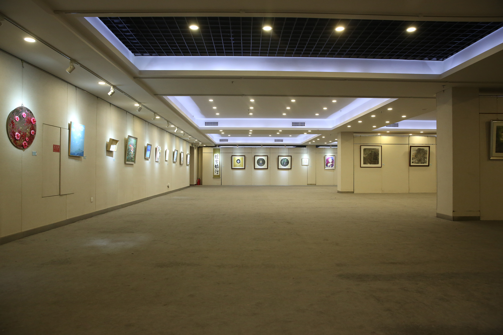 555.jpg