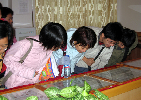 学生们在观看外国钱币。