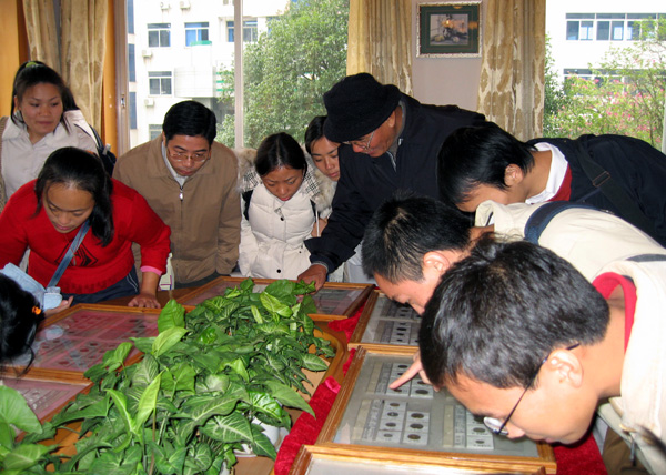 精美的钱币吸引了师生们的目光。
