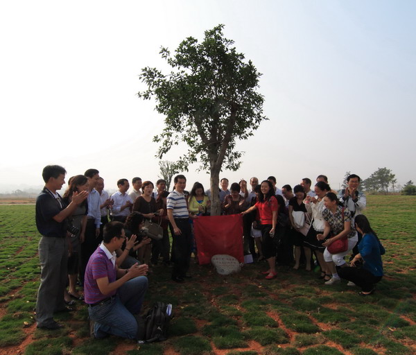 校友们为捐种的爱心树纪念石刻揭幕。