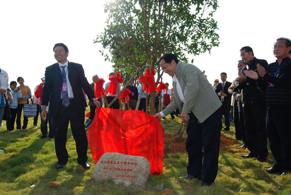 系友们在政治系1985级系友捐种的爱心树下为纪念石揭幕
