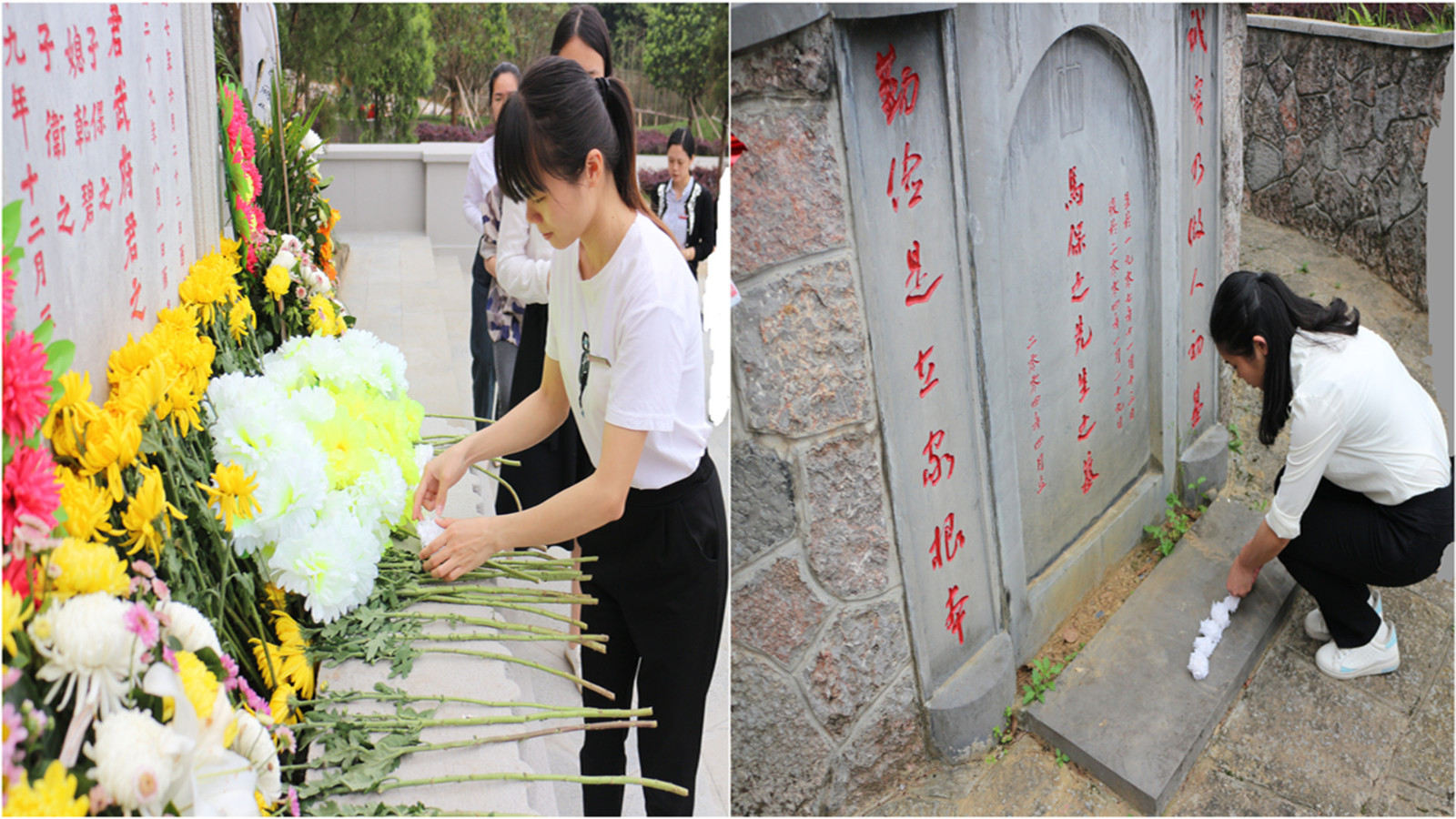 向马君武先生献白花2_副本_副本_副本.jpg