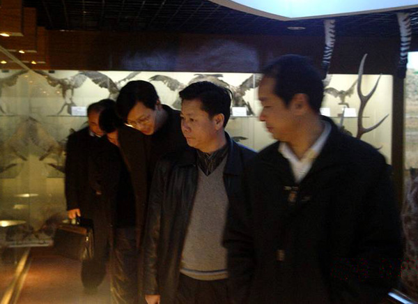 林业局领导参观标本馆。