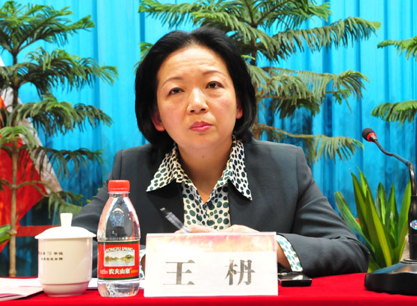 王枬书记在大会上作报告