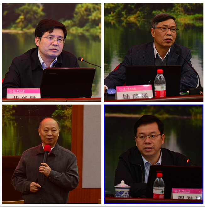 专家们在作报告