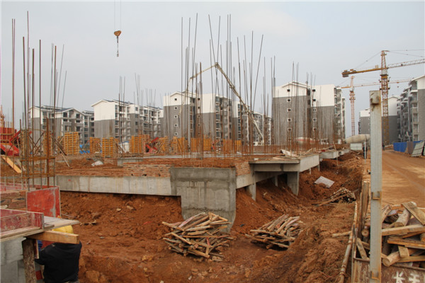 31#楼正在进行一层柱子钢筋施工（邓荫伟摄）