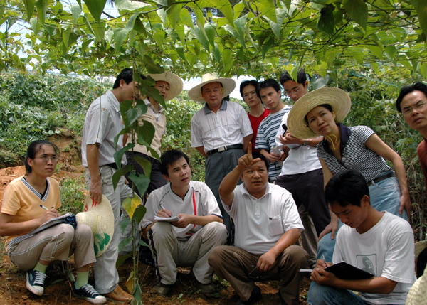 林娜副书记（右二）亲临调研现场考察。
