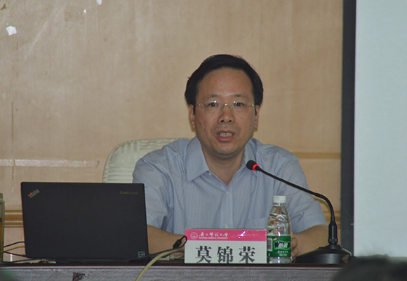 莫锦荣副书记作报告