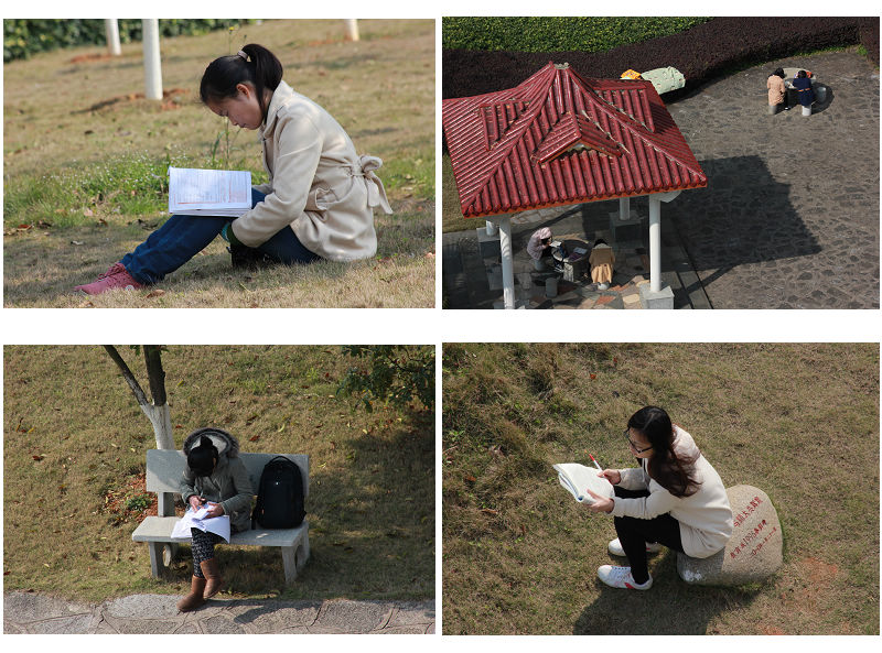 晨读的师大学子（邹添龙 摄）