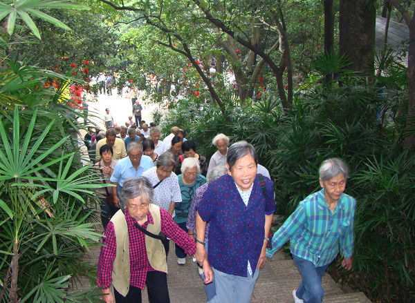 老同志们结伴登高