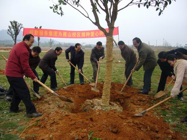 大家为爱心树培土
