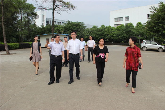 自治区高工委书记、教育厅厅长秦斌（左二）在师大党委书记王枬（右二）、学院领导陪同下参观校园 (2)