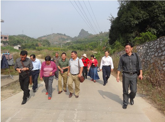 参观新农村建设