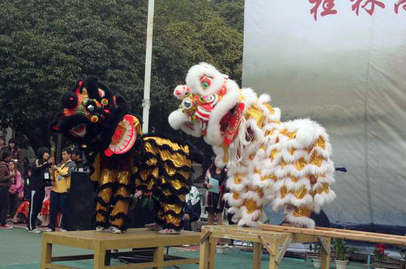 体育学院醒狮队的精彩表演。