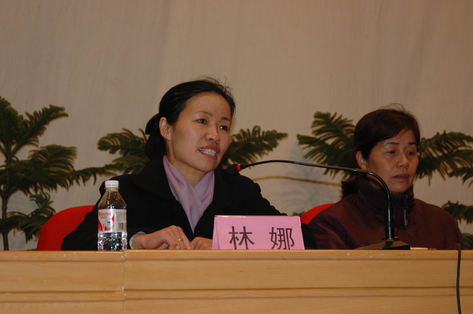 林娜副书记在会上做讲话。