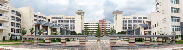 美丽的校园一隅。