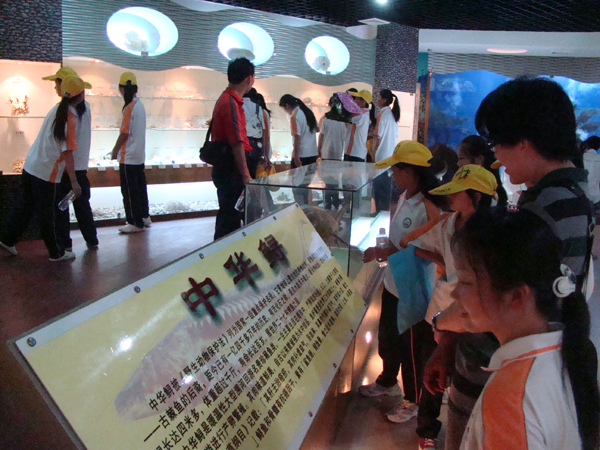 女子班学生在我校生物多样性标本馆内参观