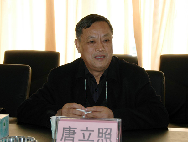 专家组组长唐立照在汇报会上发言。