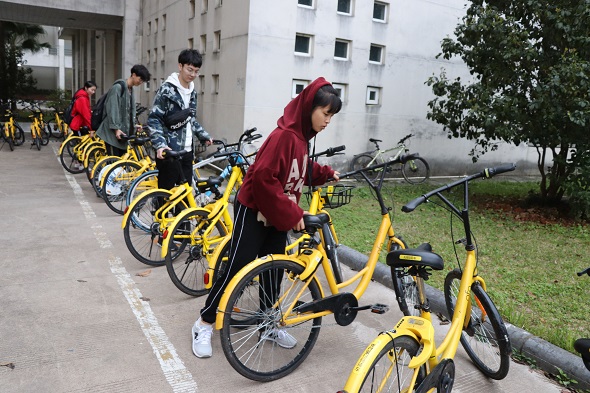 设计学院摆放小黄车.jpg