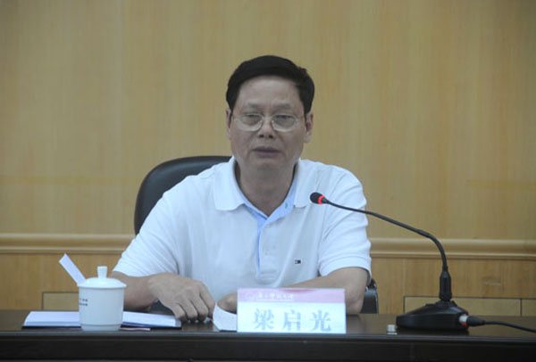 全区第二批深入学习实践科学发展观活动指导检查组高校第四组组长梁启光在会上讲话。