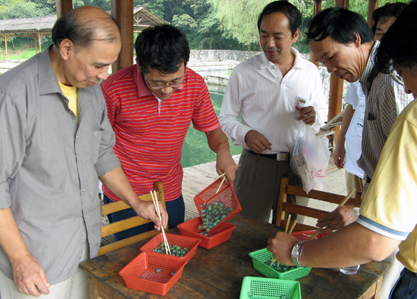 看谁采的“珍珠”多。