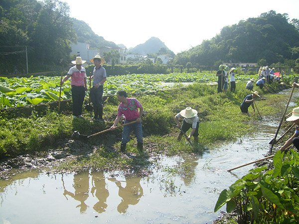 区直工作队员参与白沙镇“清洁水源”活动