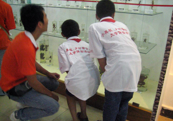 乡村留守儿童在参观生物标本室。