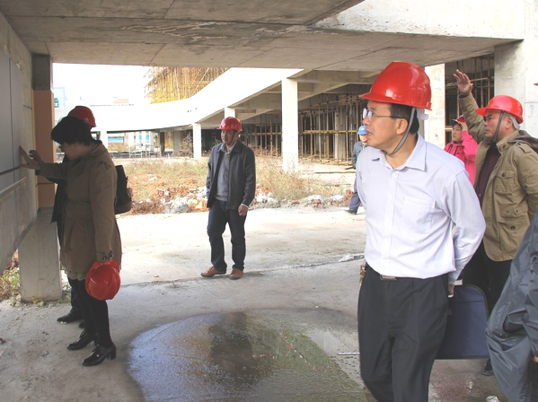 督察组检查项目施工材料