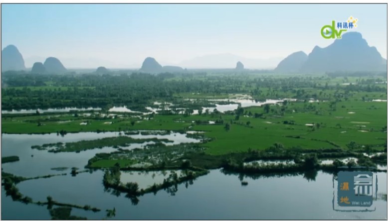会仙湿地作品截图