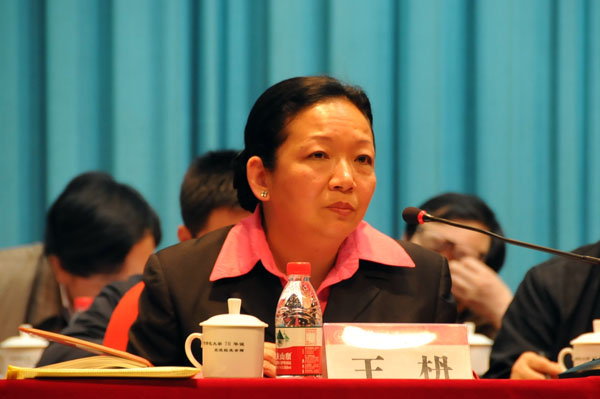 王枬书记作重要讲话