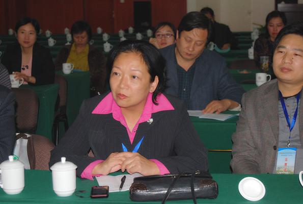 王枬书记在分组讨论会上发言