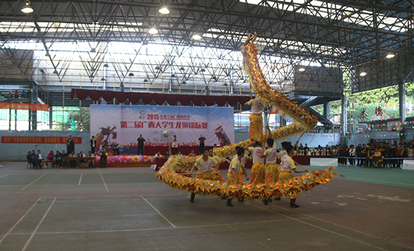 传统舞龙比赛现场