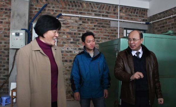 杨伟嘉副厅长（左一）在副校长兼漓江学院院长蔡昌卓（右一）陪同下参观学院艺术工厂